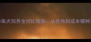 哈士奇与柴犬饲养全对比指南从性格到成本哪种更适合您