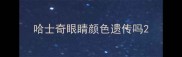 哈士奇眼睛颜色遗传吗