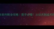 金毛犬年龄判断全攻略新手必看从幼犬到成犬的8个特征