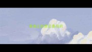 泰迪公的贵还是母的