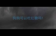 狗狗可以吃红糖吗