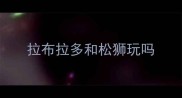 拉布拉多和松狮玩吗