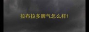 拉布拉多脾气怎么样