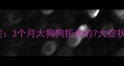 高加索幼犬厌食症3个月大狗狗拒食的7大症状与专业应对指南