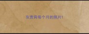 灰贵宾每个月的照片