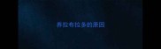 养拉布拉多的原因