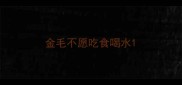 金毛不愿吃食喝水