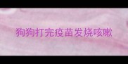 狗狗打完疫苗发烧咳嗽