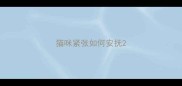 猫咪紧张如何安抚