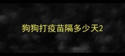 狗狗打疫苗隔多少天