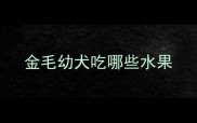 金毛幼犬吃哪些水果