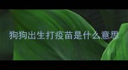 狗狗出生打疫苗是什么意思