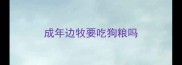 成年边牧要吃狗粮吗