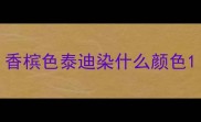 香槟色泰迪染什么颜色