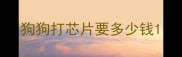 狗狗打芯片要多少钱