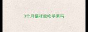 3个月猫咪能吃苹果吗