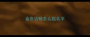 金色边牧怎么起名字