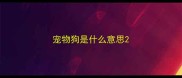 宠物狗是什么意思
