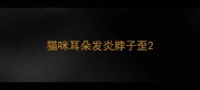 猫咪耳朵发炎脖子歪