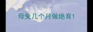 母兔几个月做绝育