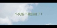 小狗能不能拉肚子