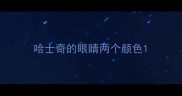 哈士奇的眼睛两个颜色