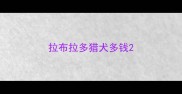 拉布拉多猎犬多钱