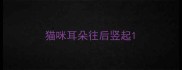 猫咪耳朵往后竖起