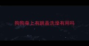 狗狗身上有跳蚤洗澡有用吗