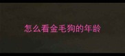 怎么看金毛狗的年龄