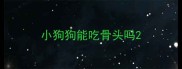 小狗狗能吃骨头吗