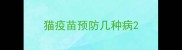 猫疫苗预防几种病
