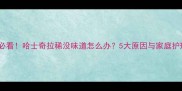 宠物主必看哈士奇拉稀没味道怎么办5大原因与家庭护理指南