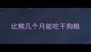 比熊几个月能吃干狗粮