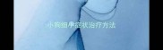 小狗细小症状治疗方法