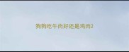 狗狗吃牛肉好还是鸡肉