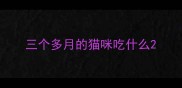 三个多月的猫咪吃什么