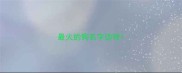 最火的狗名字边牧