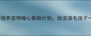 塘沽免费领养宠物暖心救助计划给流浪毛孩子一个家