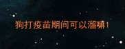 狗打疫苗期间可以溜嘛