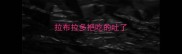 拉布拉多把吃的吐了
