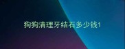 狗狗清理牙结石多少钱