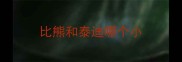 比熊和泰迪哪个小