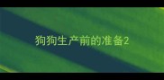 狗狗生产前的准备