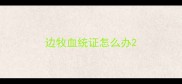 边牧血统证怎么办