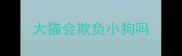 大猫会欺负小狗吗
