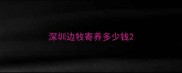 深圳边牧寄养多少钱