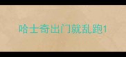 哈士奇出门就乱跑