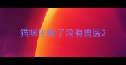 猫咪生病了没有兽医