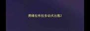 勇锋拉布拉多幼犬出售